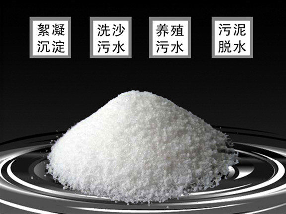 阳离子聚丙烯酰胺
